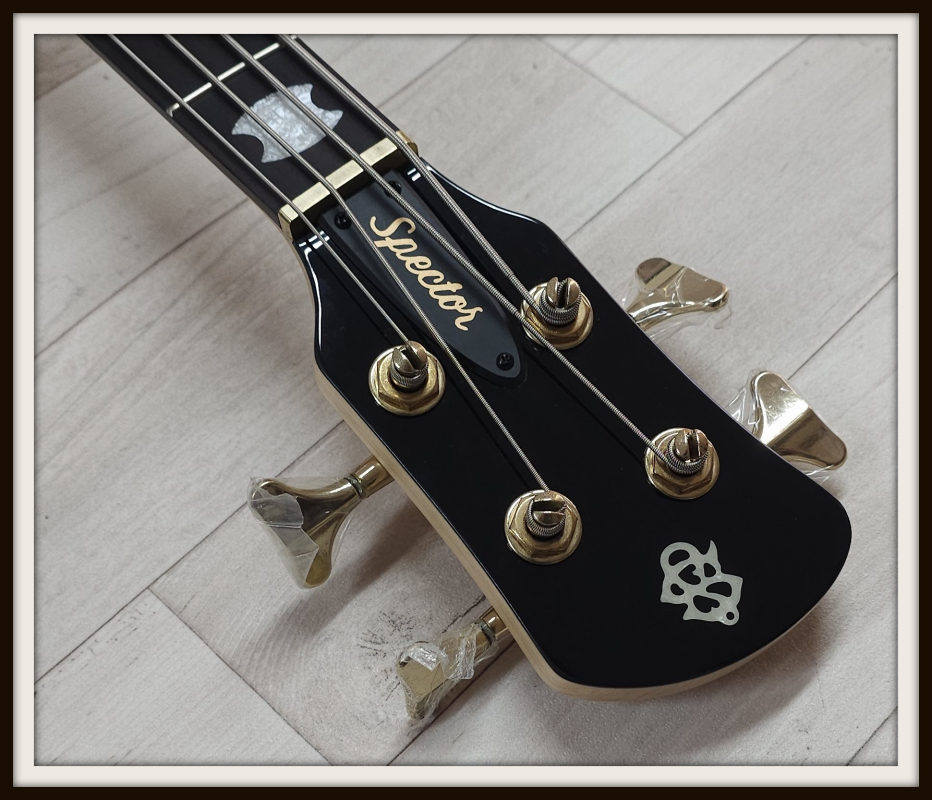 Spector Icon NS-2 Bolt-On, Black Gloss
